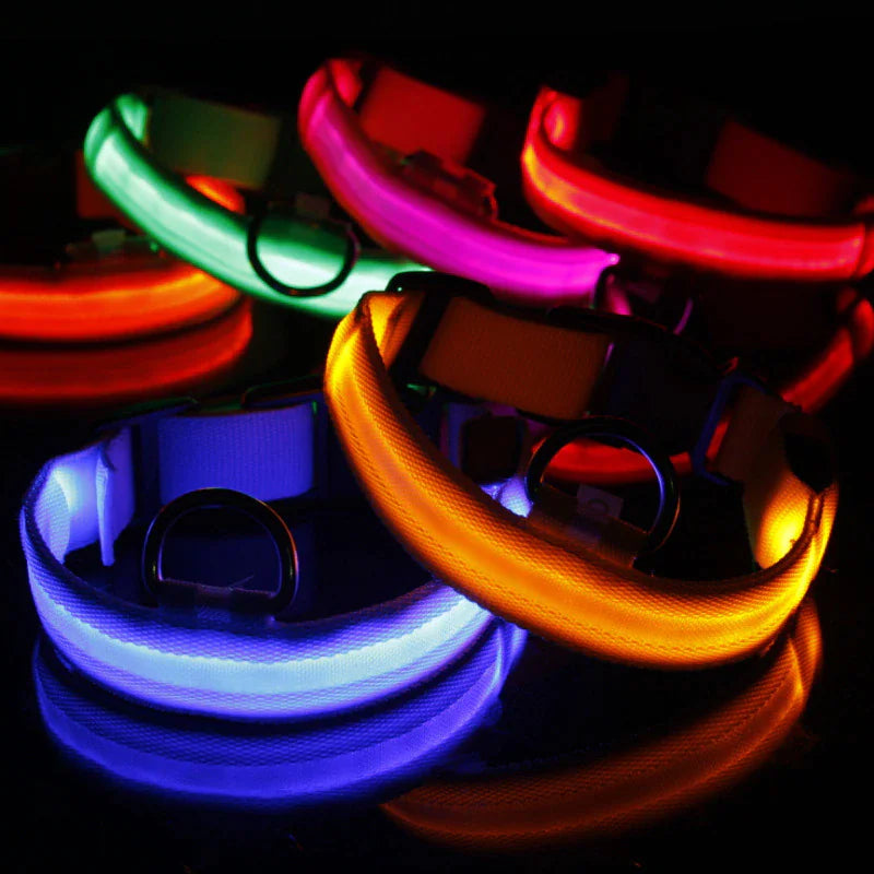 LED Adjustable Dog Collar Blinking Flashing Light Up Glow Pets Safety Waterproof - FurTruth