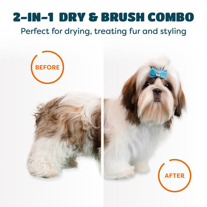 Dog before and after using a 2-in-1 dry and brush combo on a white background.