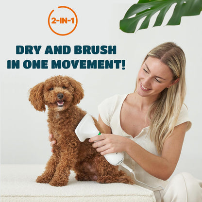 Woman brushing a dog with a grooming tool, text '2-IN-1 DRY AND BRUSH IN ONE MOVEMENT!' on a light background.