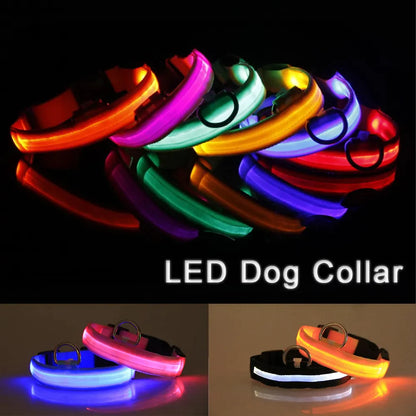 LED Adjustable Dog Collar Blinking Flashing Light Up Glow Pets Safety Waterproof - FurTruth
