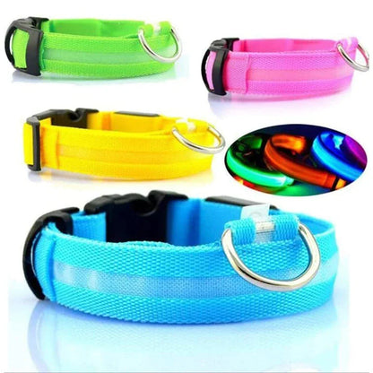 LED Adjustable Dog Collar Blinking Flashing Light Up Glow Pets Safety Waterproof - FurTruth