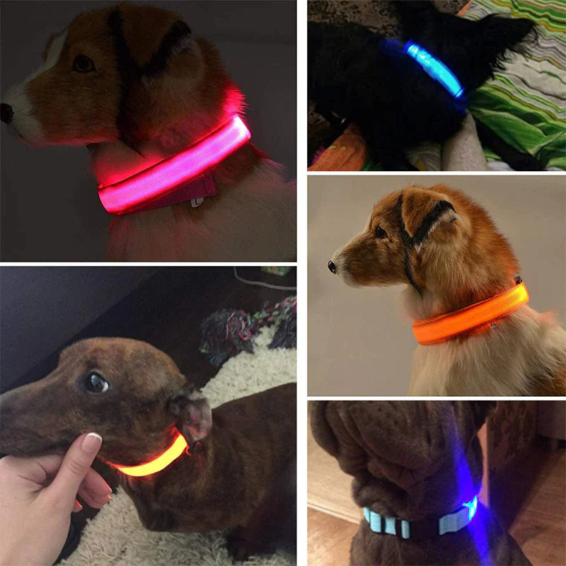 LED Adjustable Dog Collar Blinking Flashing Light Up Glow Pets Safety Waterproof - FurTruth