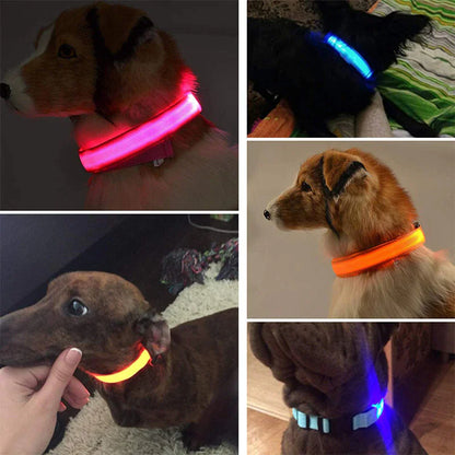 LED Adjustable Dog Collar Blinking Flashing Light Up Glow Pets Safety Waterproof - FurTruth