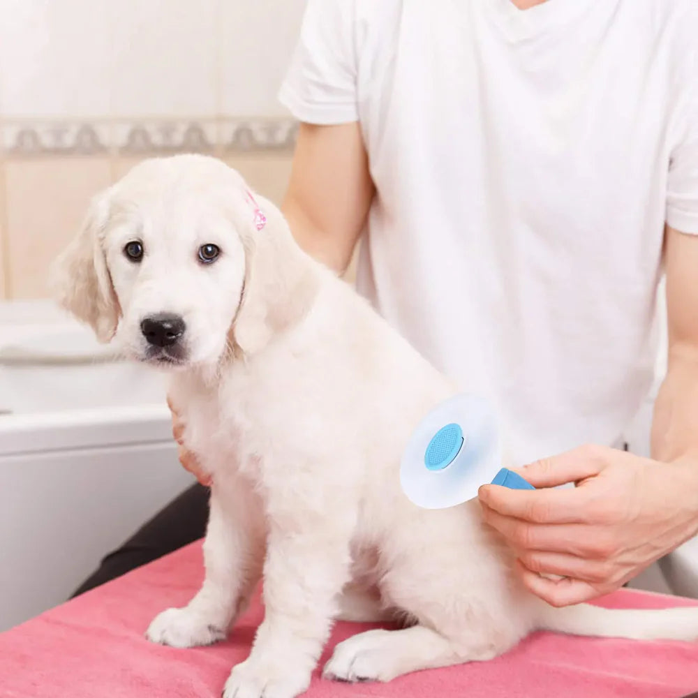 Person applying a blue product to a white puppy on a pink blanket