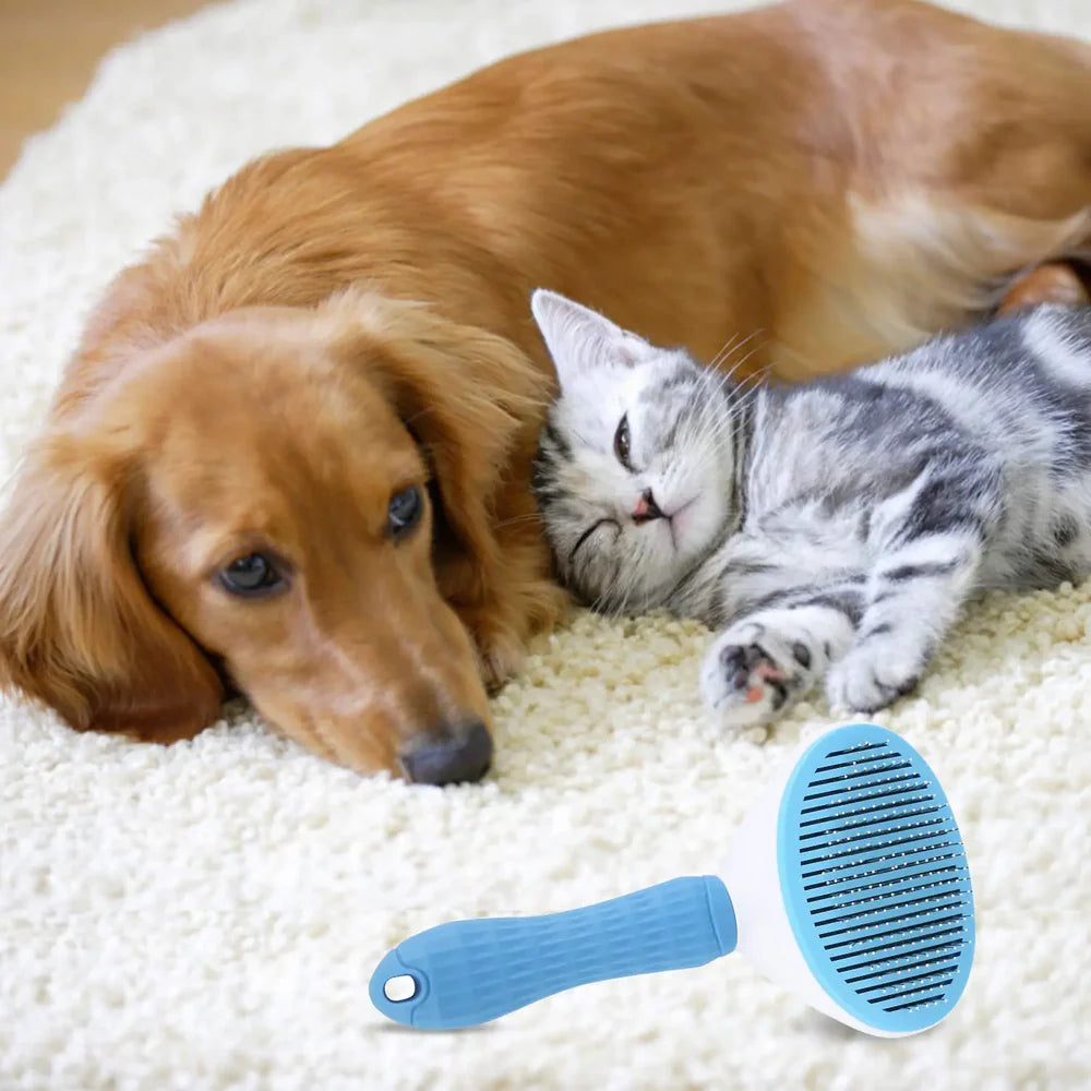 Dog and cat lying on a carpet with a blue pet grooming brush in the foreground.