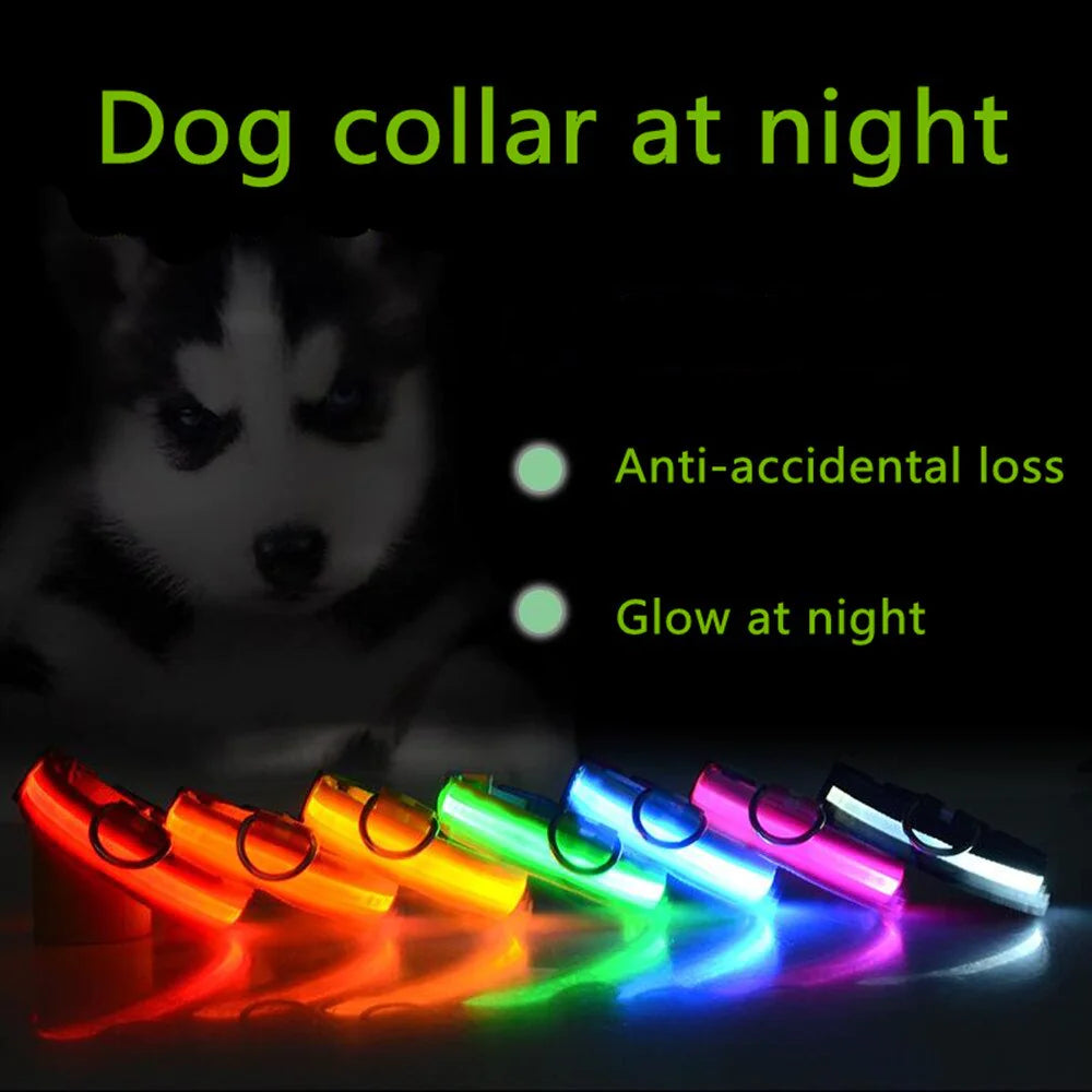 LED Adjustable Dog Collar Blinking Flashing Light Up Glow Pets Safety Waterproof - FurTruth