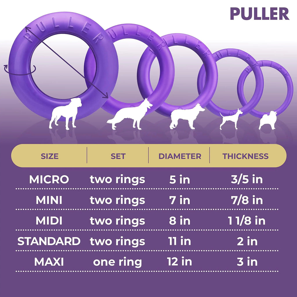 Fetch & Tug Dog Ring Duo for Large Dogs