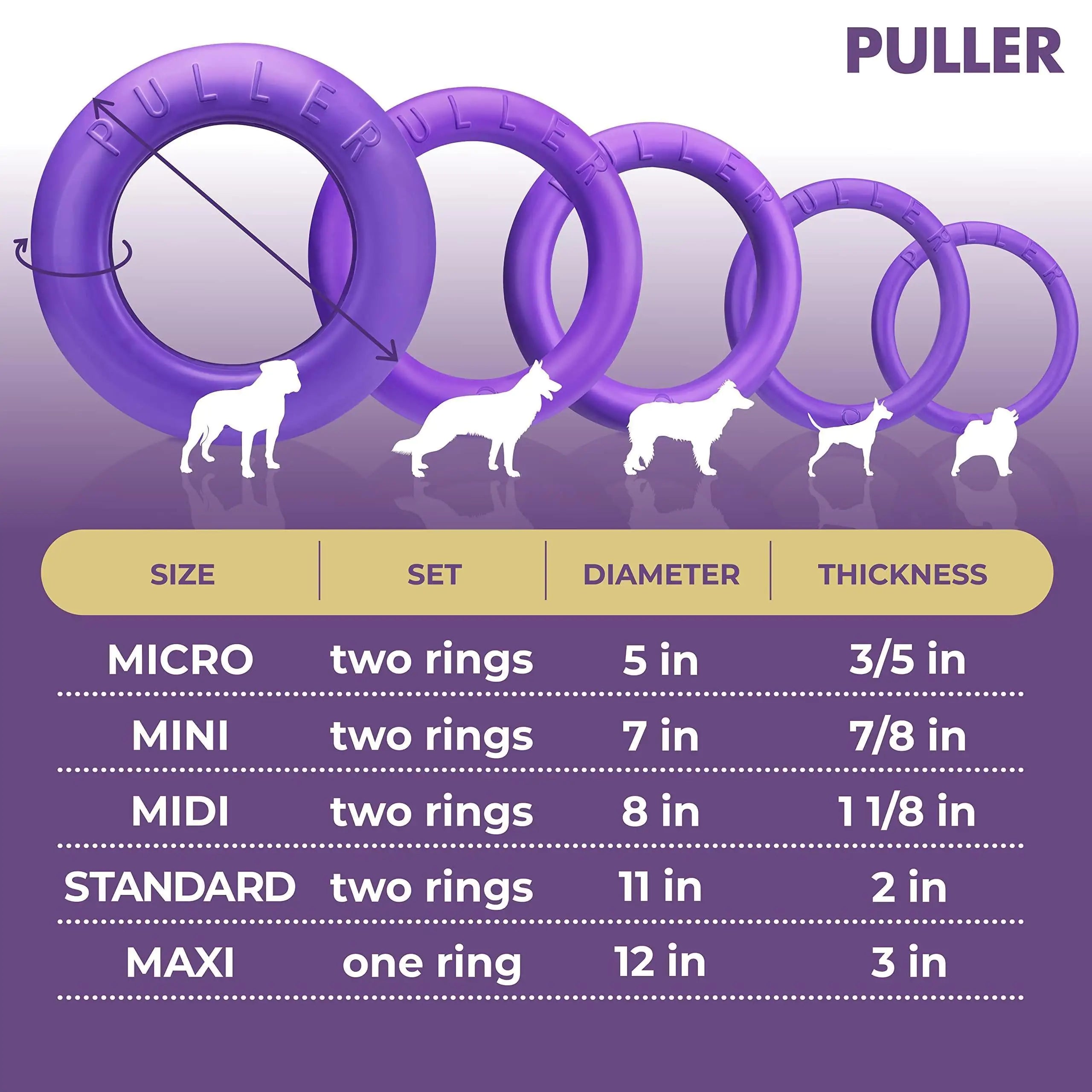 Fetch & Tug Dog Ring Duo for Large Dogs