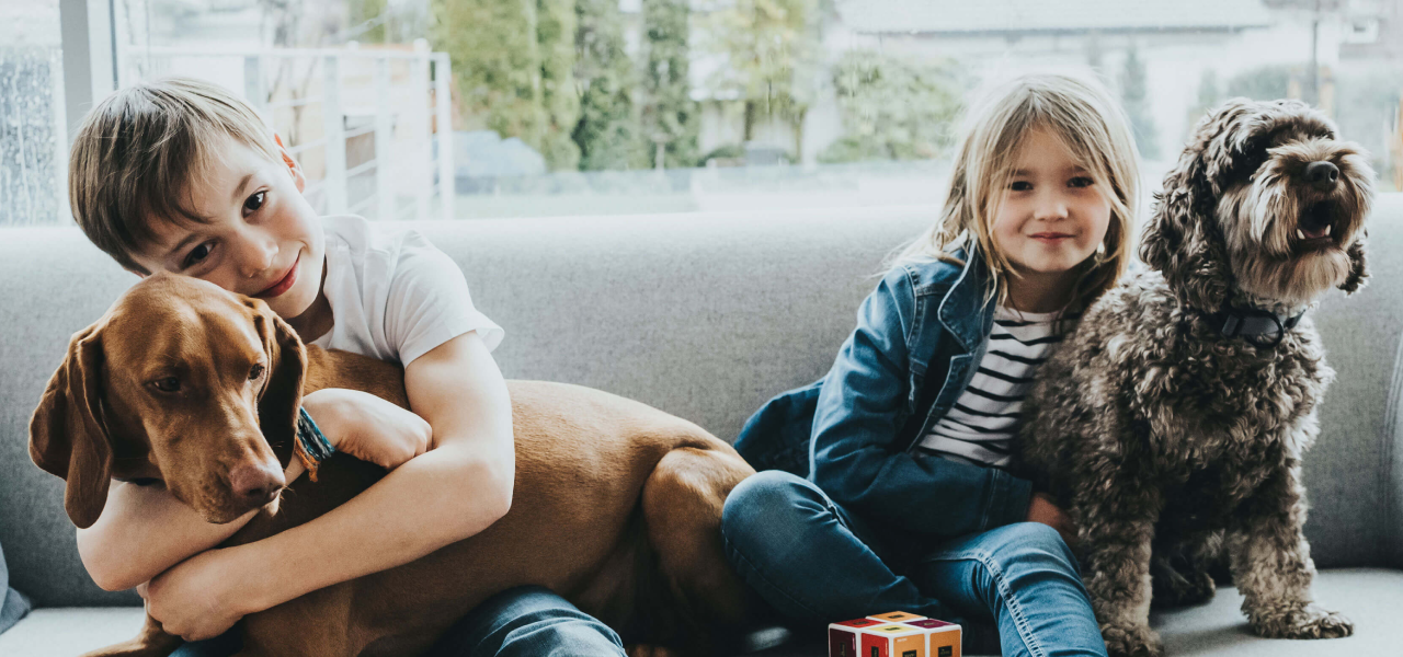 Two children sitting on a couch with two dogs, one of whom is holding a small gift box.