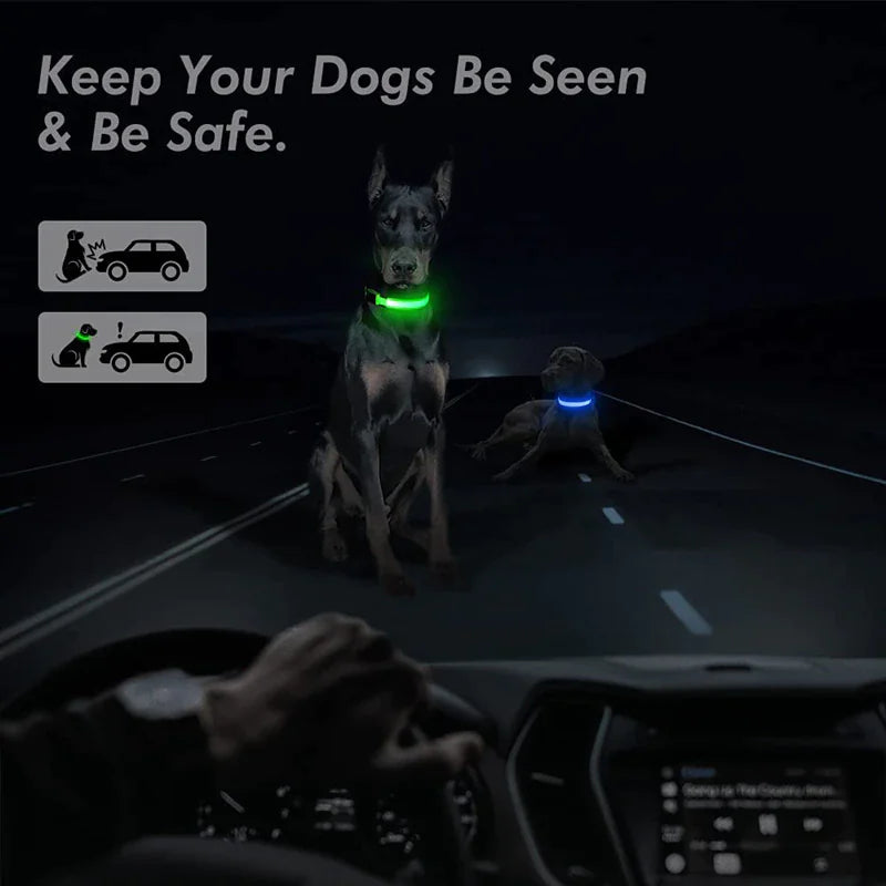 LED Adjustable Dog Collar Blinking Flashing Light Up Glow Pets Safety Waterproof - FurTruth