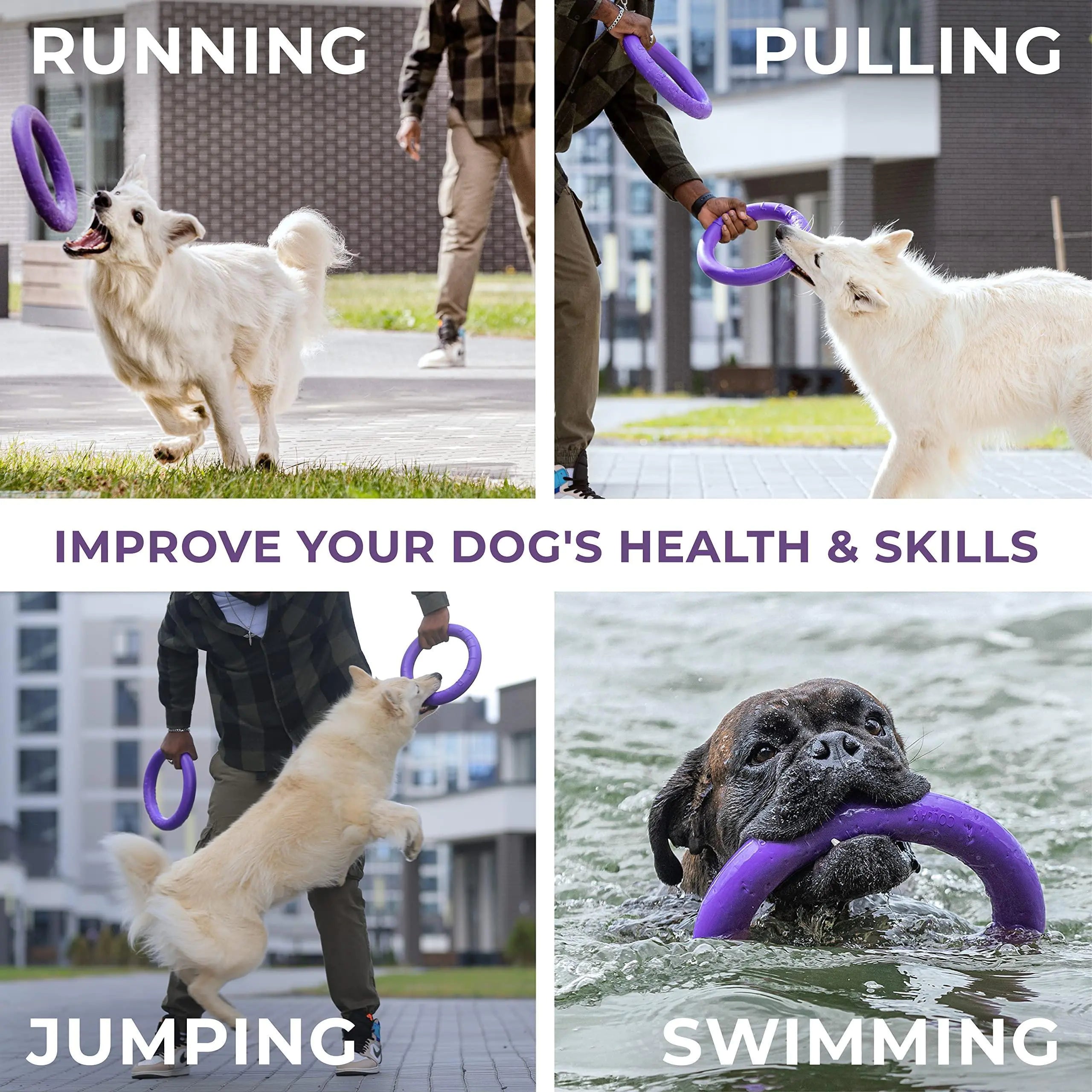 Fetch & Tug Dog Ring Duo for Large Dogs