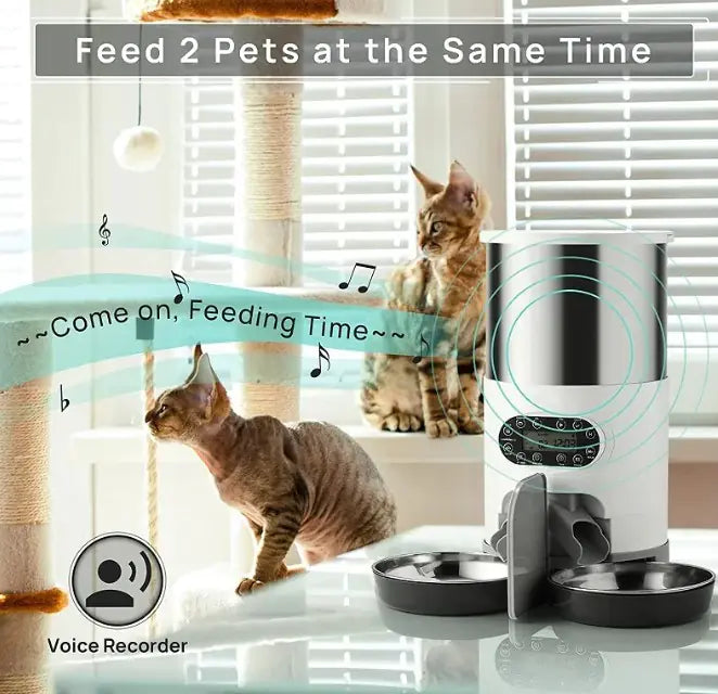 Double Meal Dispenser for Pets - FurTruth