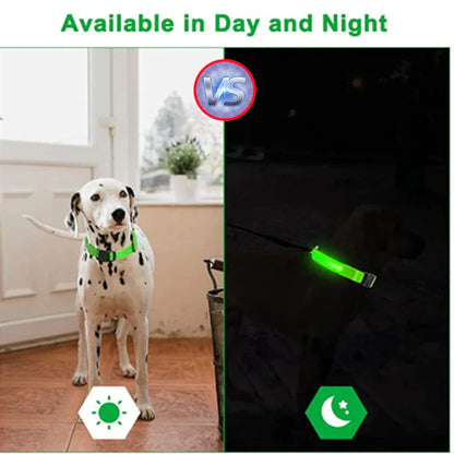 LED Adjustable Dog Collar Blinking Flashing Light Up Glow Pets Safety Waterproof - FurTruth