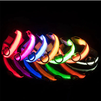 LED Adjustable Dog Collar Blinking Flashing Light Up Glow Pets Safety Waterproof - FurTruth