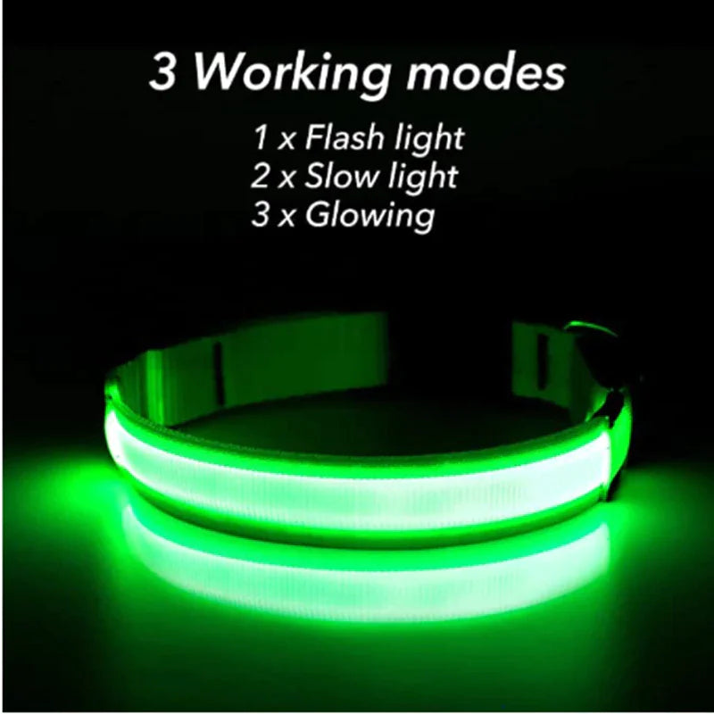 LED Adjustable Dog Collar Blinking Flashing Light Up Glow Pets Safety Waterproof - FurTruth
