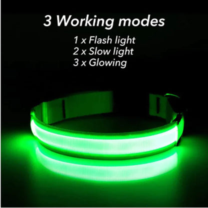 LED Adjustable Dog Collar Blinking Flashing Light Up Glow Pets Safety Waterproof - FurTruth