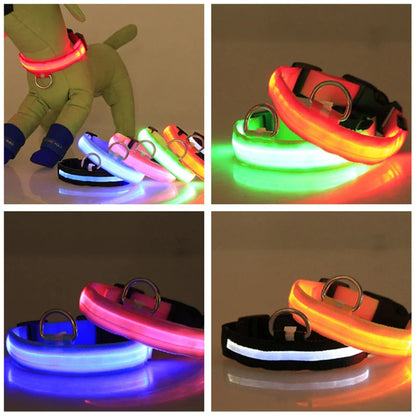 LED Adjustable Dog Collar Blinking Flashing Light Up Glow Pets Safety Waterproof - FurTruth