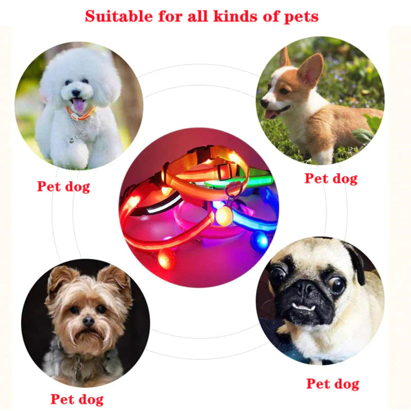 LED Adjustable Dog Collar Blinking Flashing Light Up Glow Pets Safety Waterproof - FurTruth