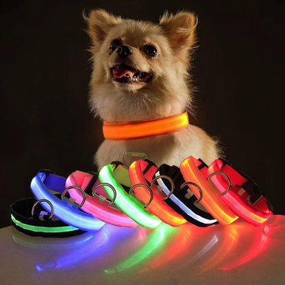 LED Adjustable Dog Collar Blinking Flashing Light Up Glow Pets Safety Waterproof - FurTruth