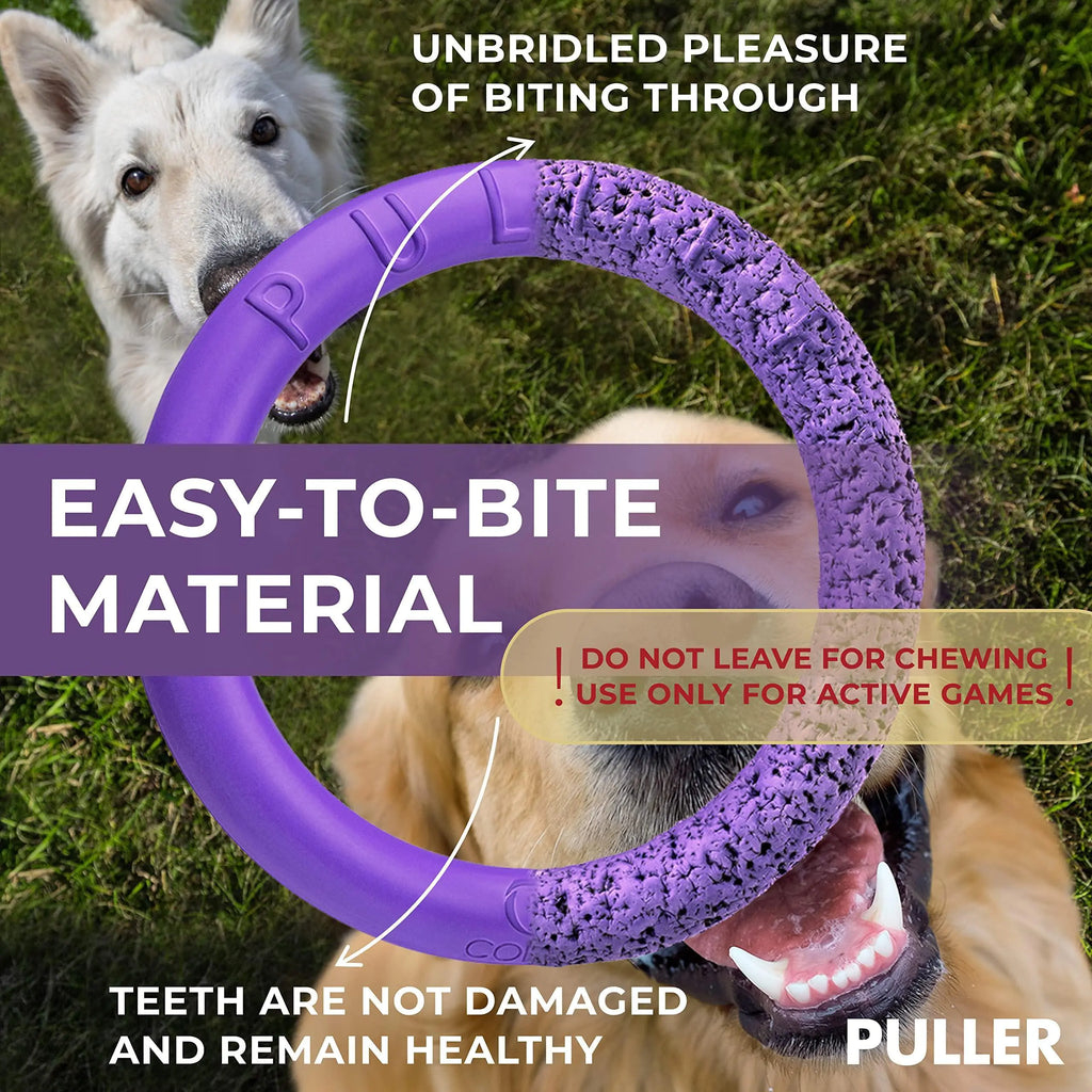 Fetch & Tug Dog Ring Duo for Large Dogs