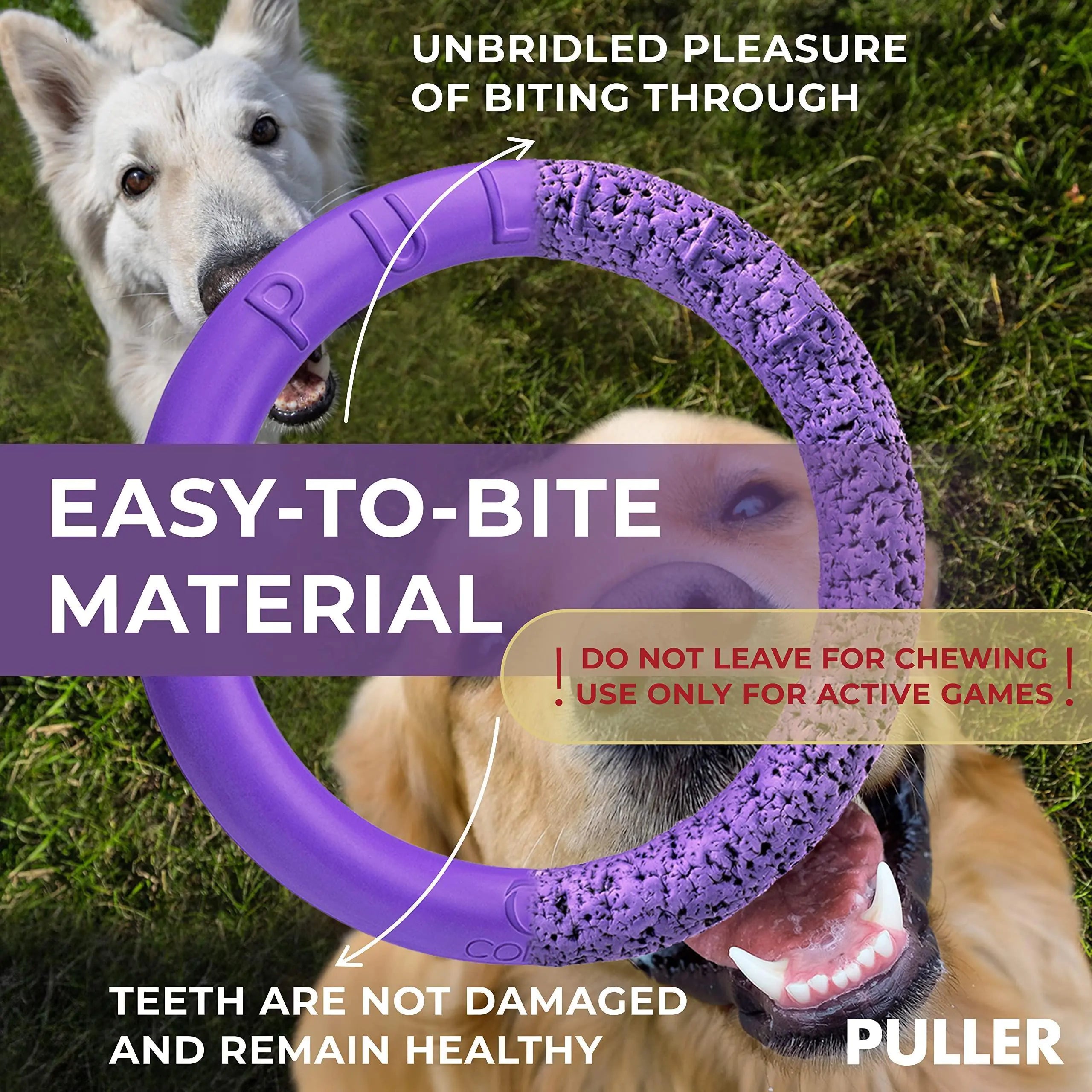 Fetch & Tug Dog Ring Duo for Large Dogs